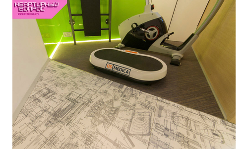 Виброплатформа US MEDICA VibroPlate Виброплатформа US MEDICA VibroPlate